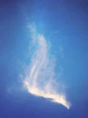 The Ugly Womanapos;s