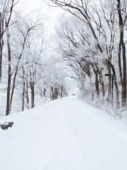 The Rough Man Hunter