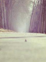 lt;Gingerly, Shen Qi