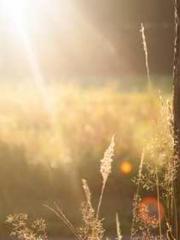 Spoil you in my arms