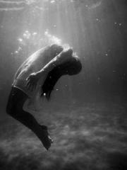 Transmigration: Feel