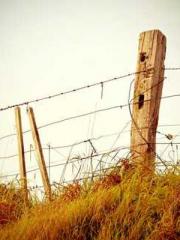 After the Divorce, I