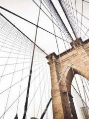 Reborn in the Apocal