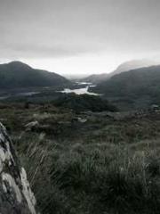 Double Blessing: CEO