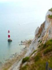 The Best Little Body