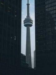 The Ugly Womanapos;s