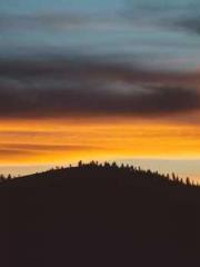 Professor Yan is goi