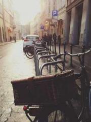 The Stand-in Wife Wa