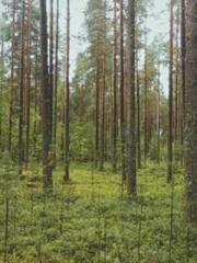 lt;Mr. Bao, Mrs. Bao