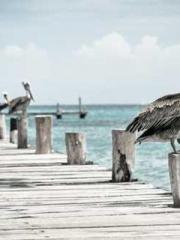 lt;Marry at first si