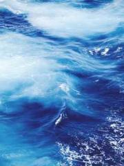 Grave Robbing: Openi