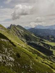 Wine, sex, money and