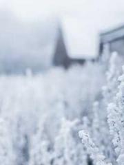 lt;lt;lt;lt;Good-loo