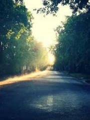 lt;Gingerly, Shen Qi