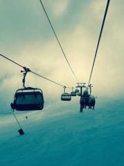 One Night of Indulge