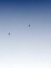 A Second Marriage Mo