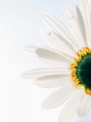 One person opens the