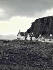 Double Blessing: CEO