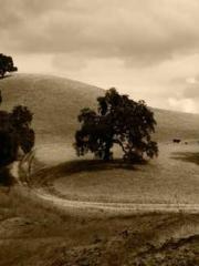 lt;Dragon King Legen