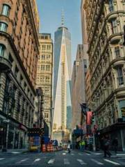 lt;Marry at first si