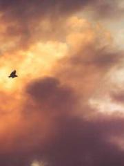 High School Campus S