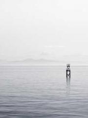 One Pregnancy, Two B