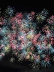 lt;Gingerly, Shen Qi