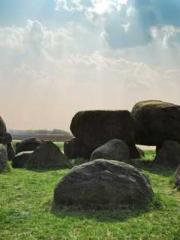 lt;Diga: From Jetton