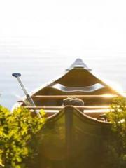 Mr. Gu, your wife is