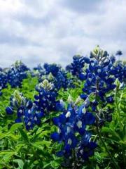 Rebirth in 1970: Eat