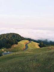 King of Nine Profoun