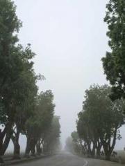 The Best Little Body