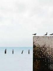 After miscarriage an