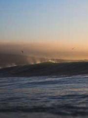 lt;Nineth Uncle, you